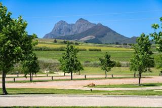 882 m² Land