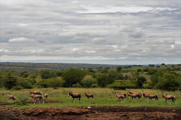 Game Farm
