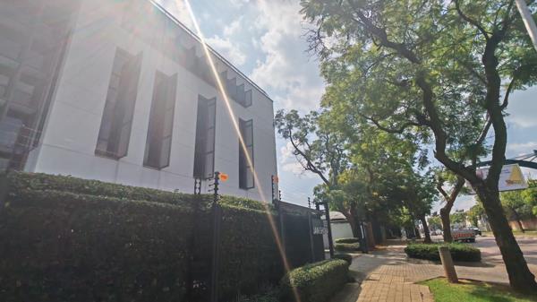 441 m² Office Space