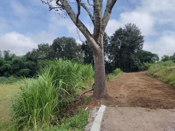 997 m² Land