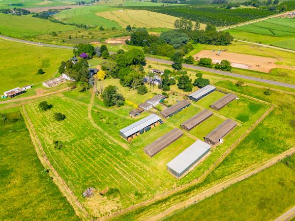 6.1 ha Smallholding