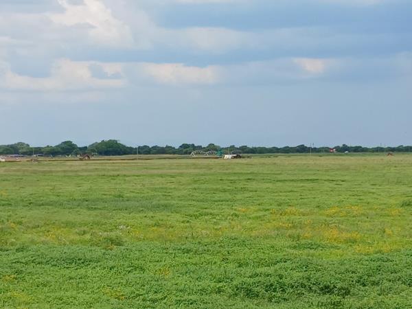 85.7 ha Farm