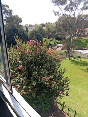 1.5 Bedroom Townhouse