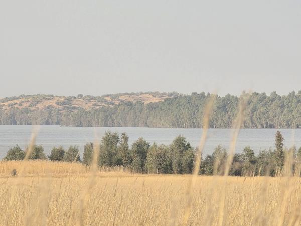 1.3 ha Land