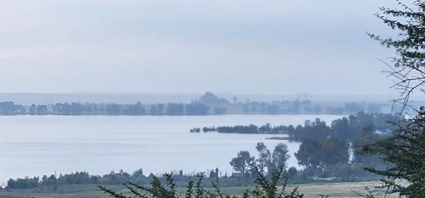 1.3 ha Land