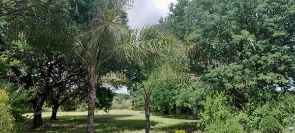 8 565 ha Farm