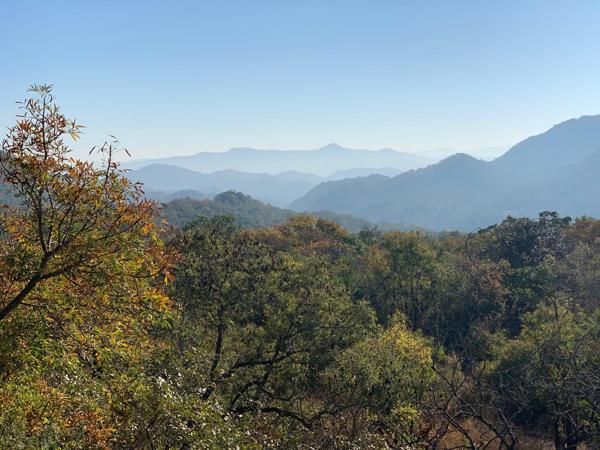 1 ha Land