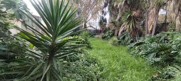 446 m² Land