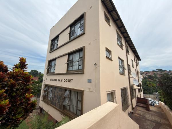 24 Bedroom Apartment
