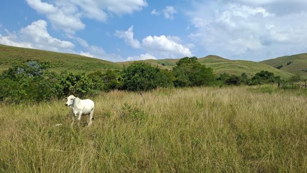 448 ha Farm