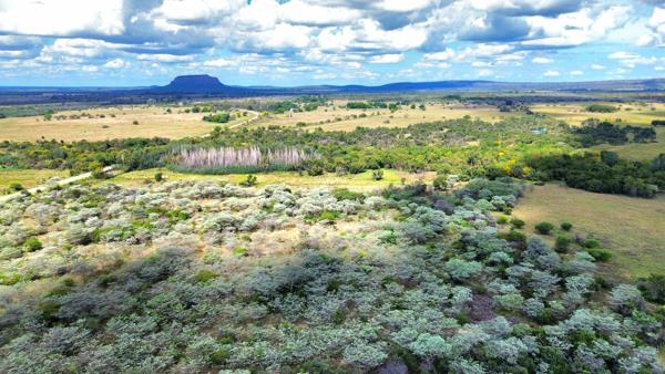 81.3 ha Agricultural Holding