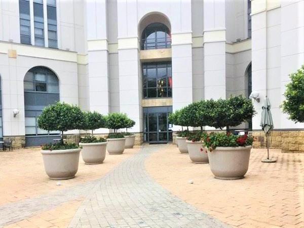 194 m² Office Space