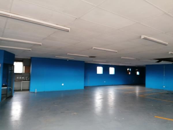 250 m² Commercial space