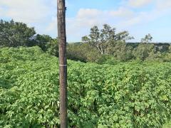 1 124 m² Land