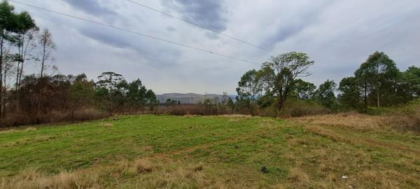 40 ha Farm