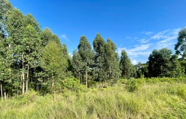 1 085 m² Land