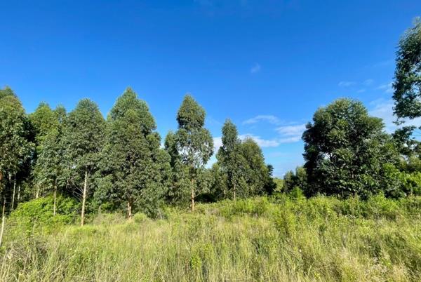 1 243 m² Land