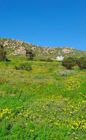 400 m² Land