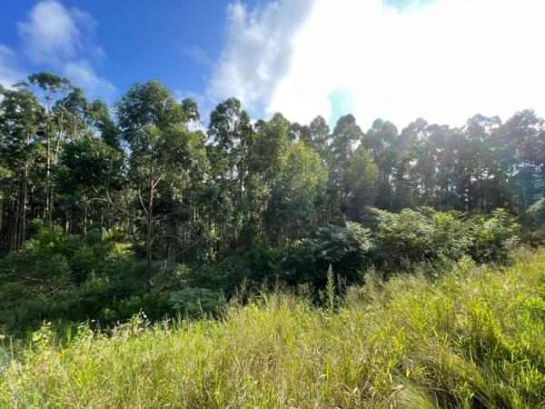 994 m² Land
