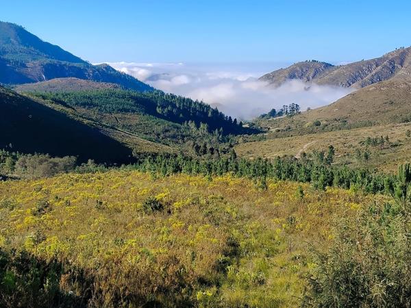 800 ha Farm