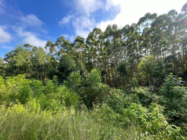 1 003 m² Land