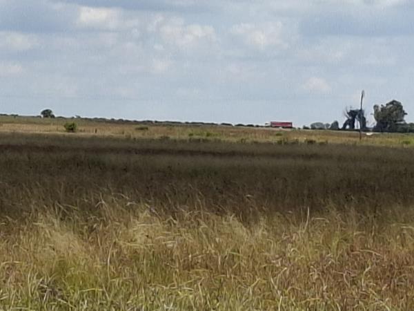 1.7 ha Land