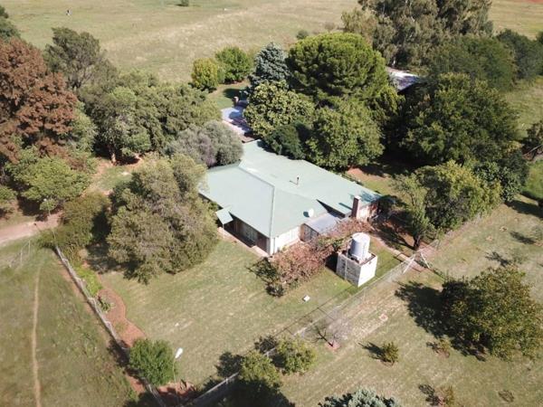 8.6 ha Smallholding
