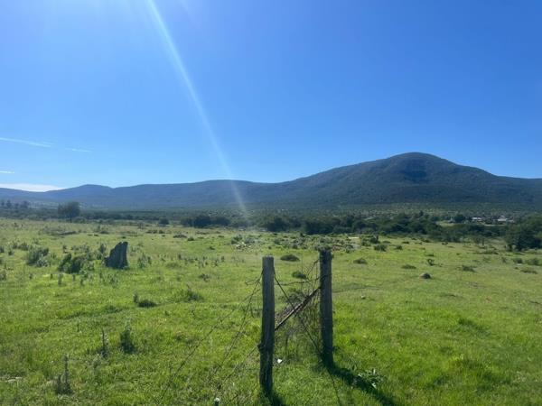 2.6 ha Land