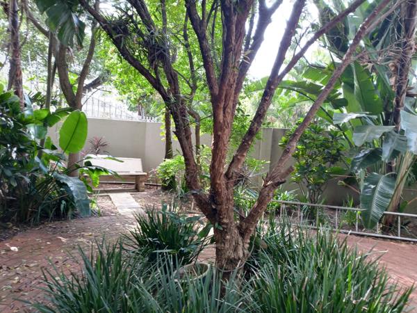 3 Bedroom Duplex