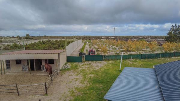 41.3 ha Smallholding