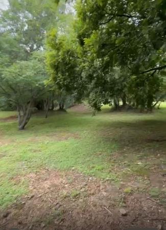 608 m² Land