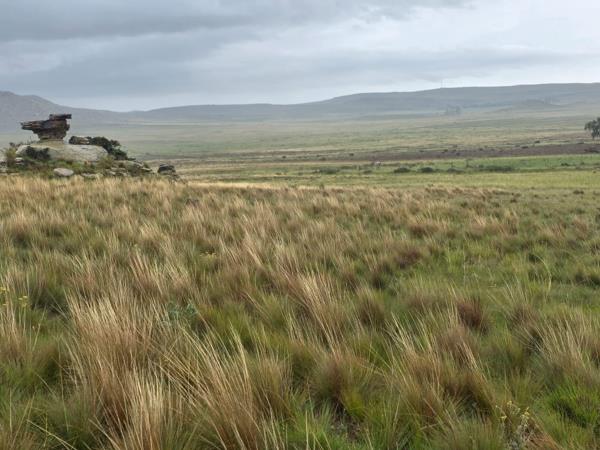 897 ha Farm