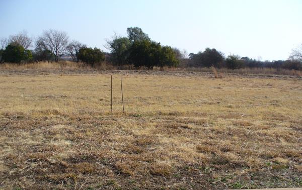 998 m² Land