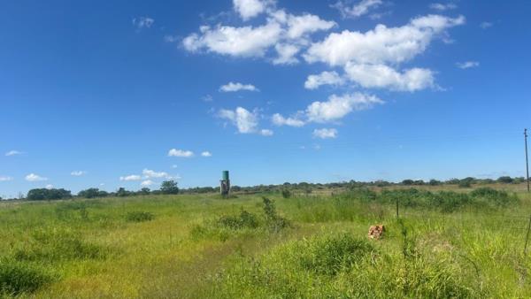 8.5 ha Farm