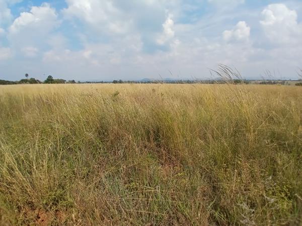 8.5 ha Land