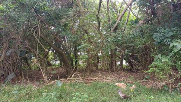 1 136 m² Land