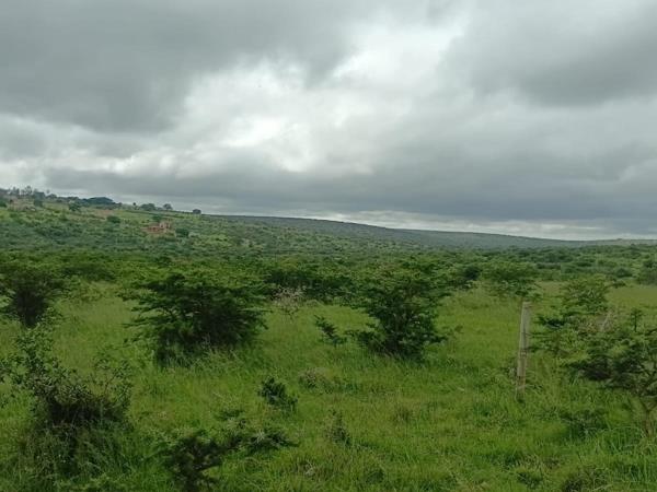 1 ha Land