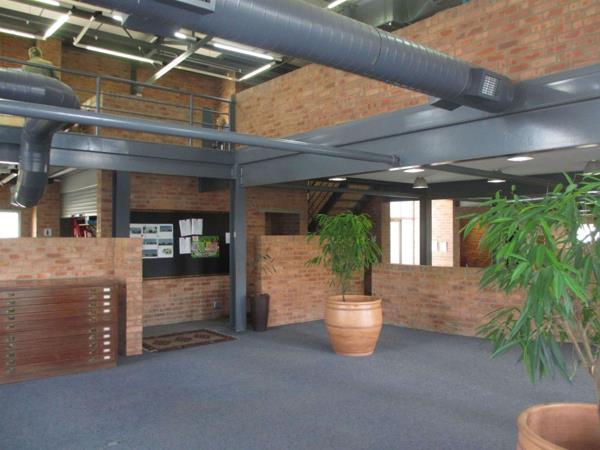 919 m² Office Space