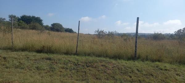 1 ha Land