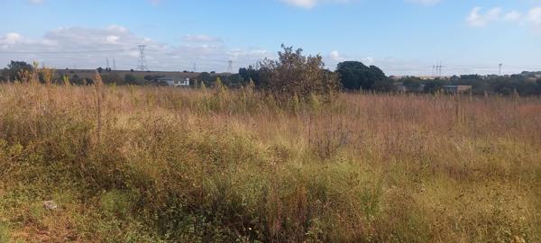 1 ha Land