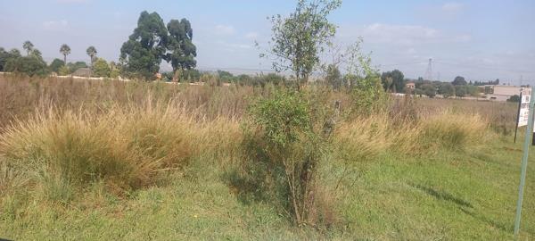 1 ha Land