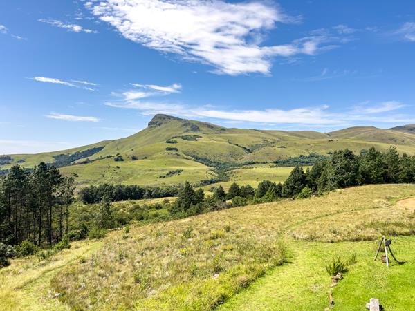 40 ha Farm