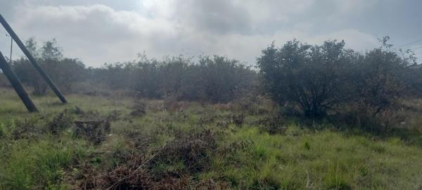 1 ha Land