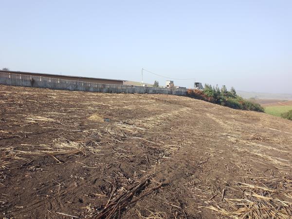 Farm