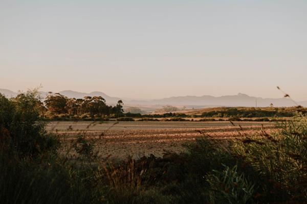 5 291 m² Smallholding