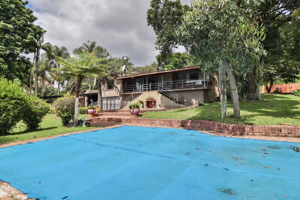 8.8 ha Smallholding