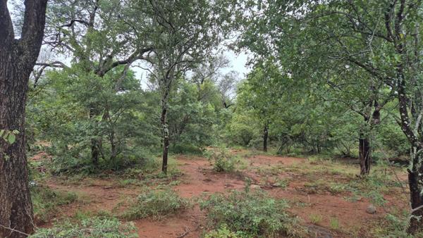 1 ha Land