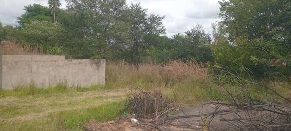 1 040 m² Land