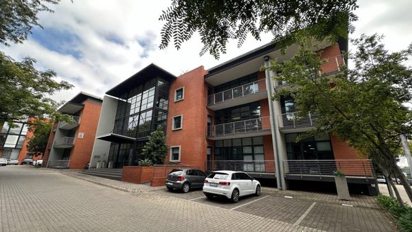 222 m² Office Space