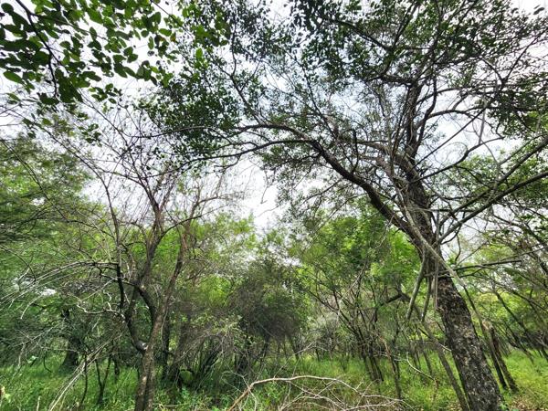 2 150 m² Land